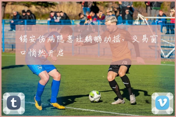 锡安伤病隐患让鹈鹕动摇,交易窗口悄然开启